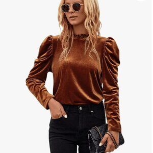 Velvet Puff Sleeve Rust Orange Blouse - S